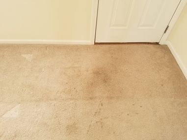 Before & After Carpet Cleaning in Anniston, AL (1)