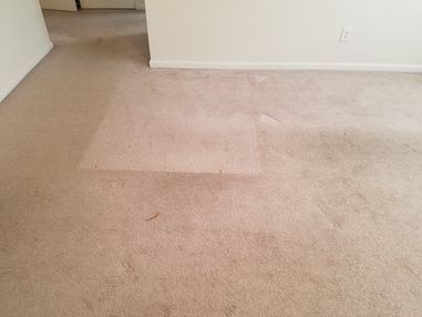 Before & After Carpet Cleaning in Anniston, AL (3)